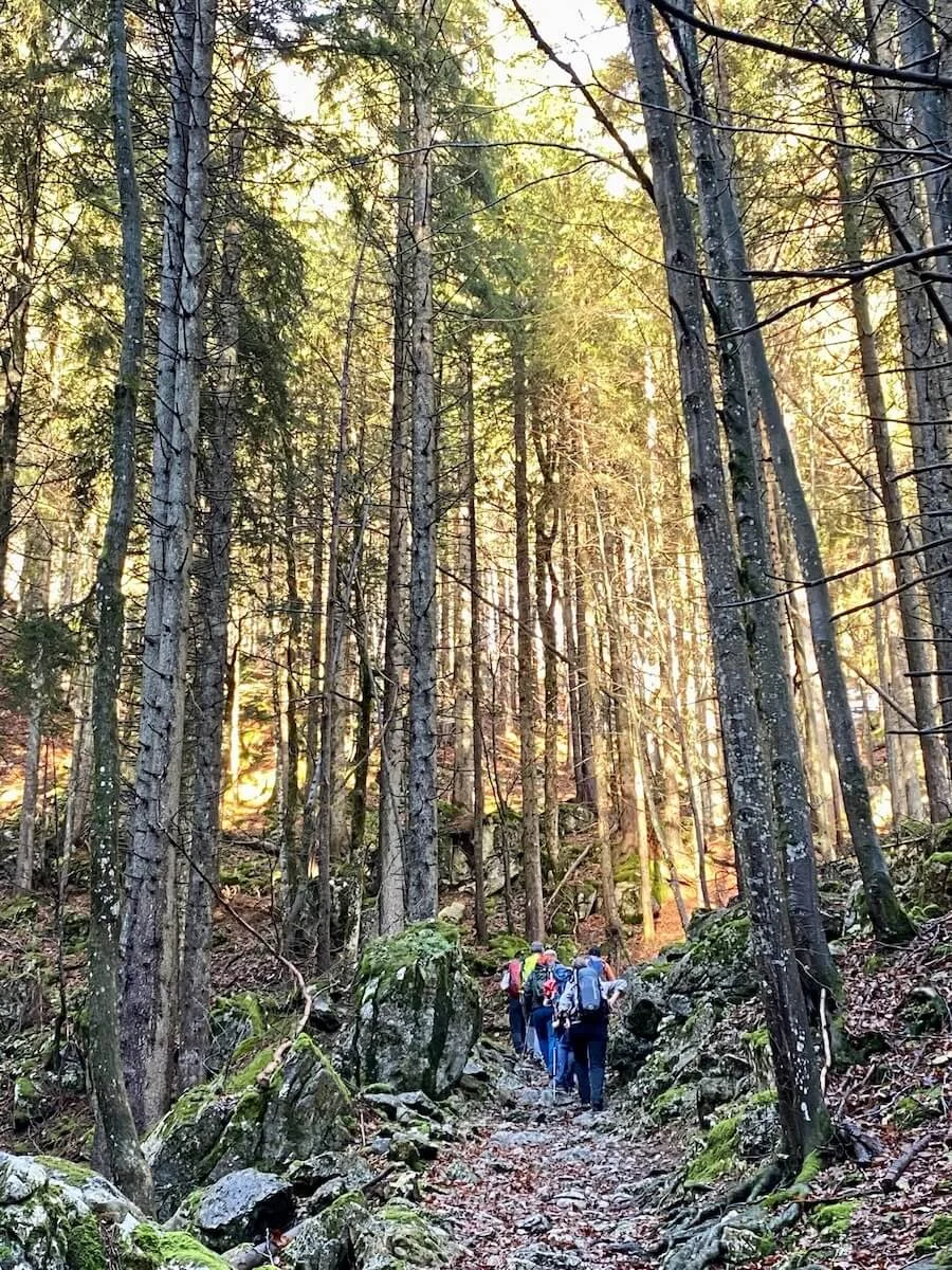 Wandern Spitzstein 2022 November | © DAV Markt Schwaben | Foto Markus Sellmeier
