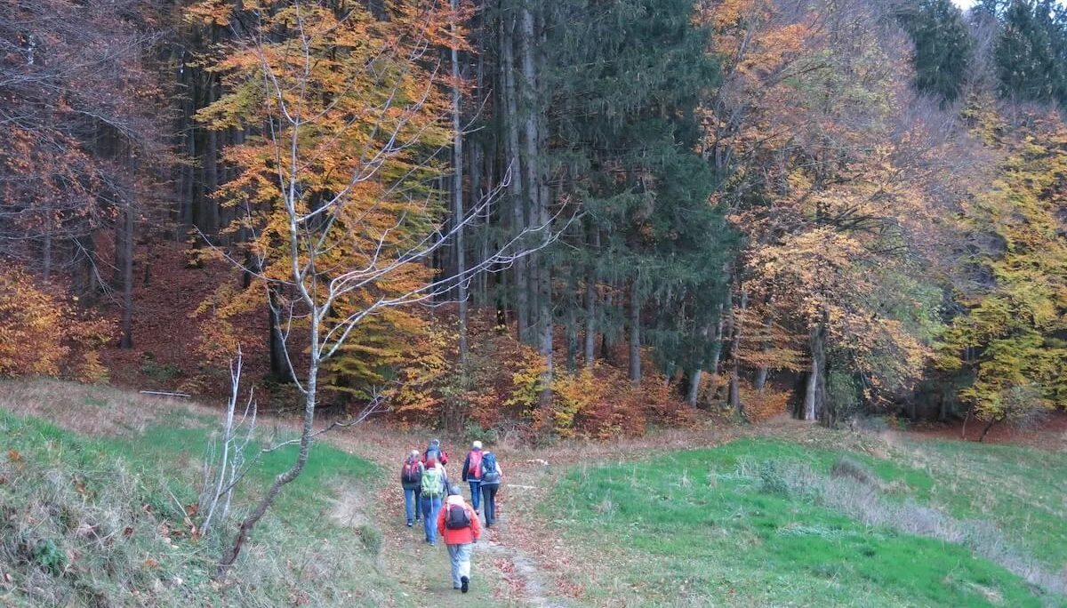 SPIRI Wanderungen November 2022 | © DAV Markt Schwaben | Foto Gerlinde Hübl