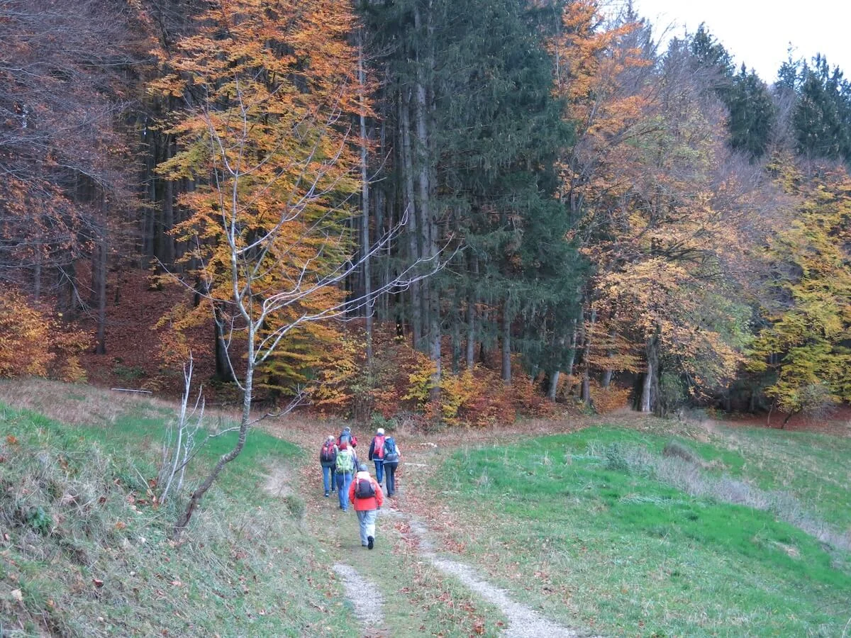 SPIRI Wanderungen November 2022 | © DAV Markt Schwaben | Foto Gerlinde Hübl