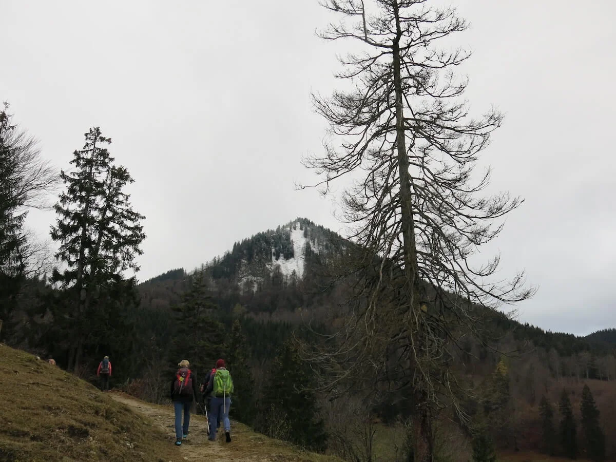 SPIRI Wanderungen November 2022 | © DAV Markt Schwaben | Foto Gerlinde Hübl