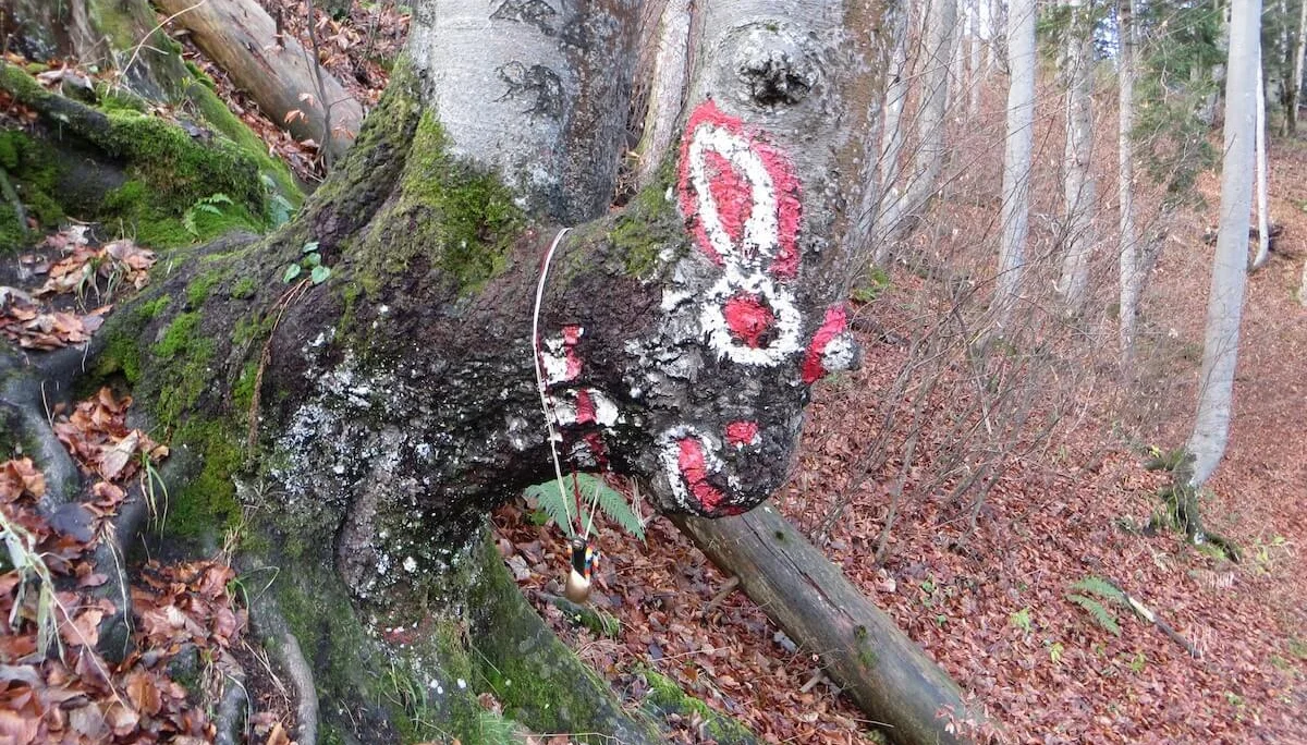 SPIRI Wanderungen November 2022 | © DAV Markt Schwaben | Foto Gerlinde Hübl