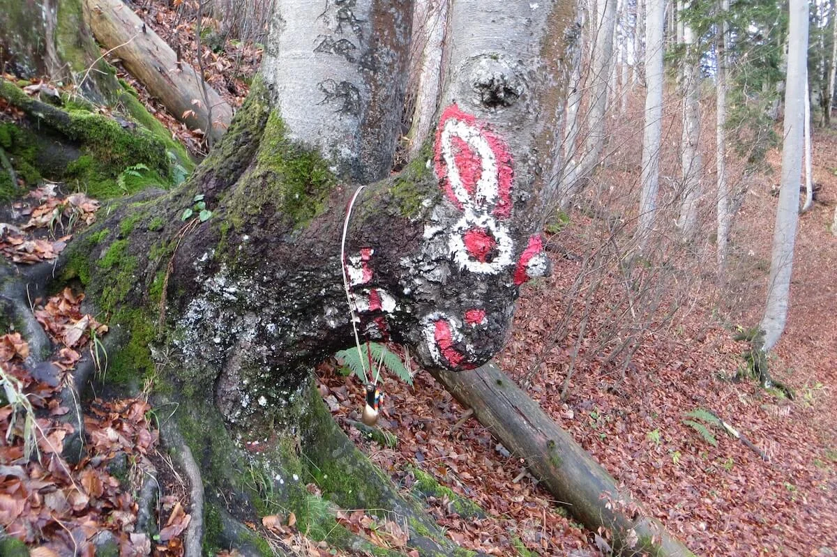 SPIRI Wanderungen November 2022 | © DAV Markt Schwaben | Foto Gerlinde Hübl