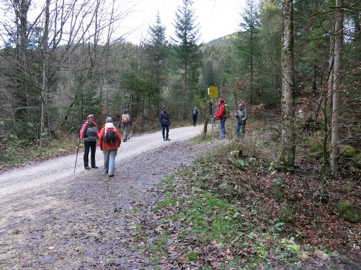 SPIRI Wanderungen November 2022 | © DAV Markt Schwaben | Foto Gerlinde Hübl
