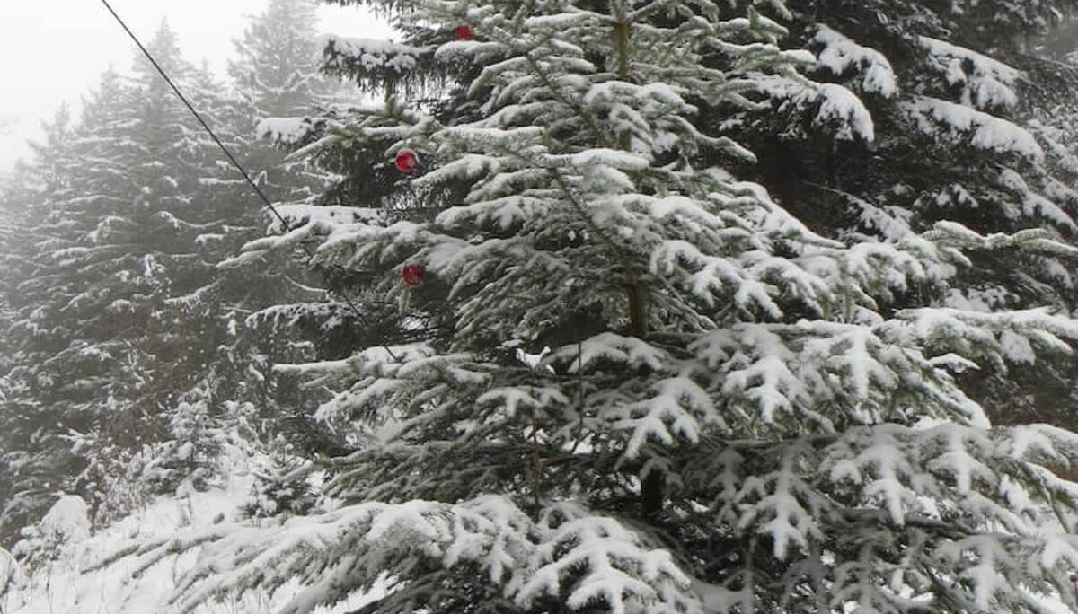 SPIRI Wanderung Dezember 2022 | © DAV Markt Schwaben | Foto Gerlinde Hübl