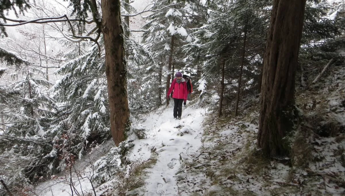 SPIRI Wanderung Dezember 2022 | © DAV Markt Schwaben | Foto Gerlinde Hübl