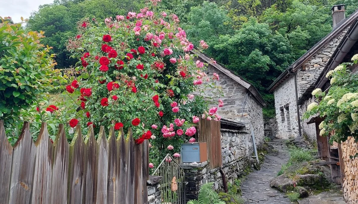 Klettern, Wandern, Radfahren Himmelfahrtswochenende 2023 Tessin | © DAV Markt Schwaben | Foto Lutz Gründel