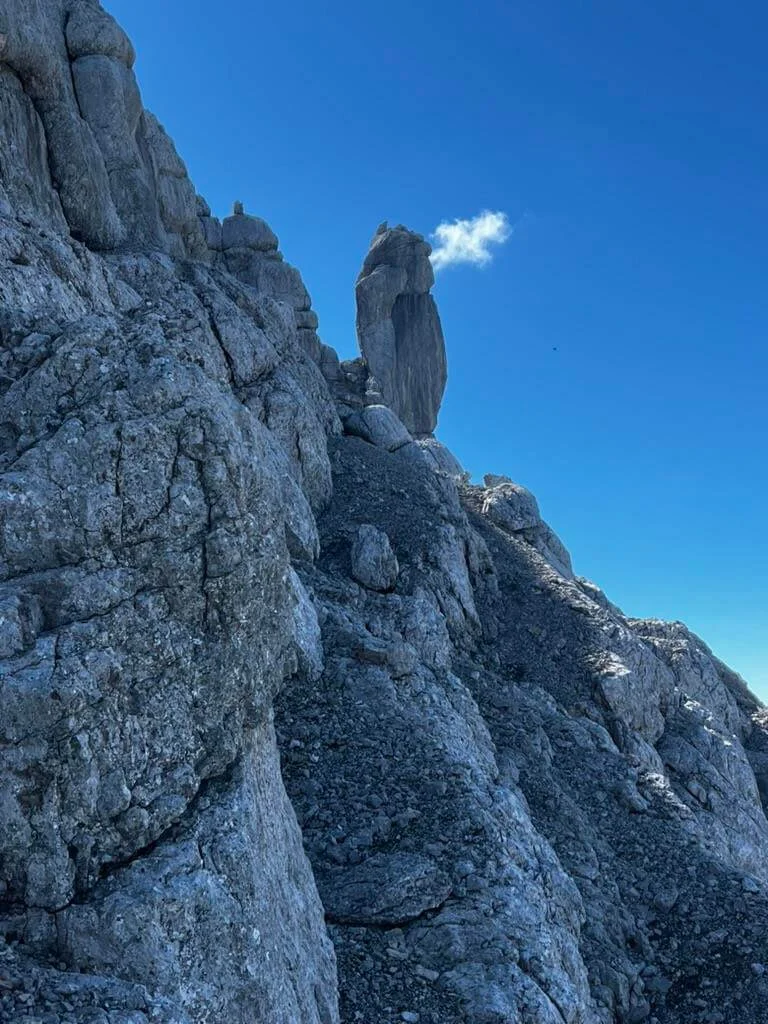 In der Nordwestflanke des Großen Ochsenhorns | © Markus Sellmeier