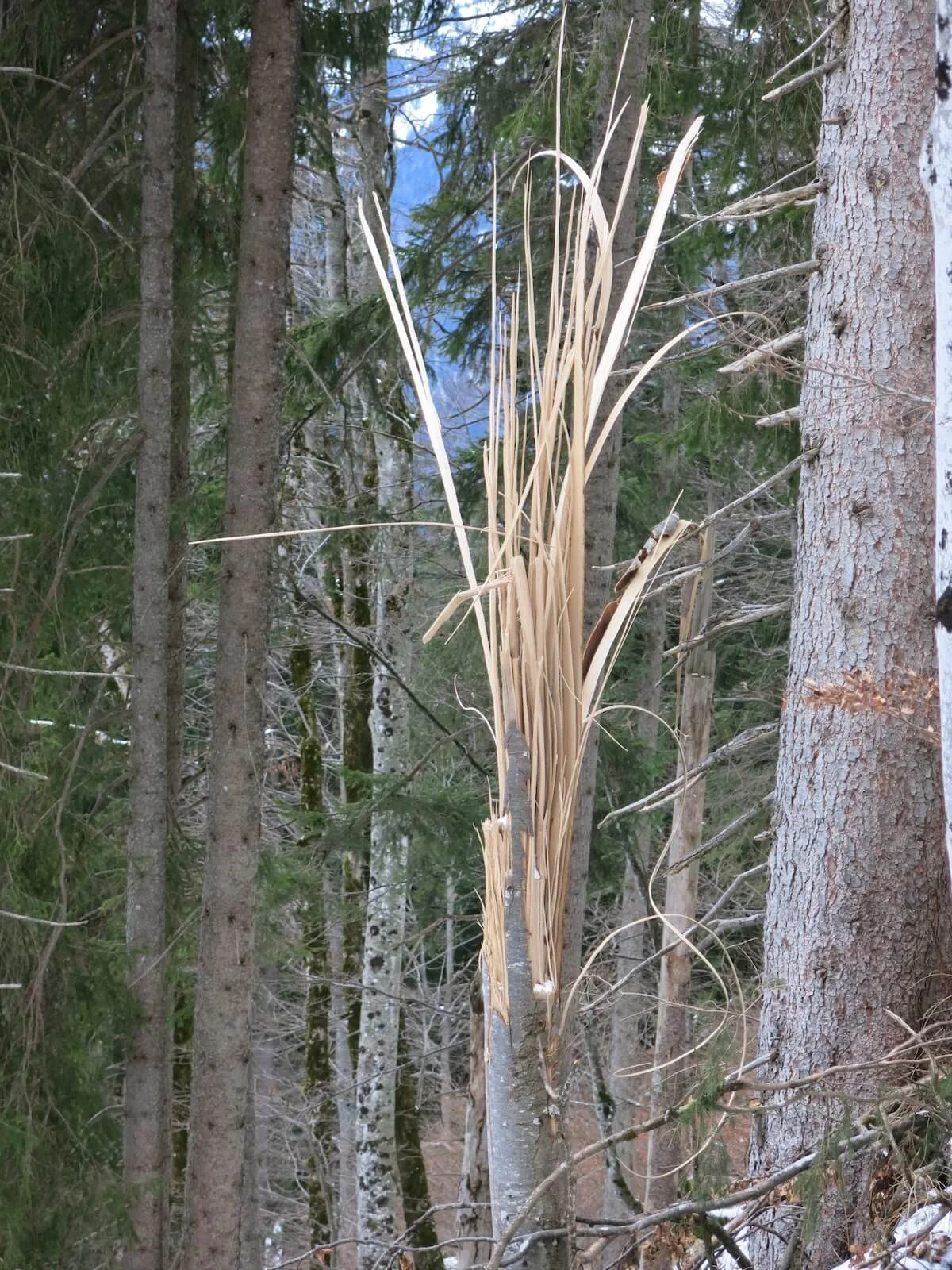 SPIRI Wanderung Graleitenkopf | © DAV Markt Schwaben | Erwin Matzinger