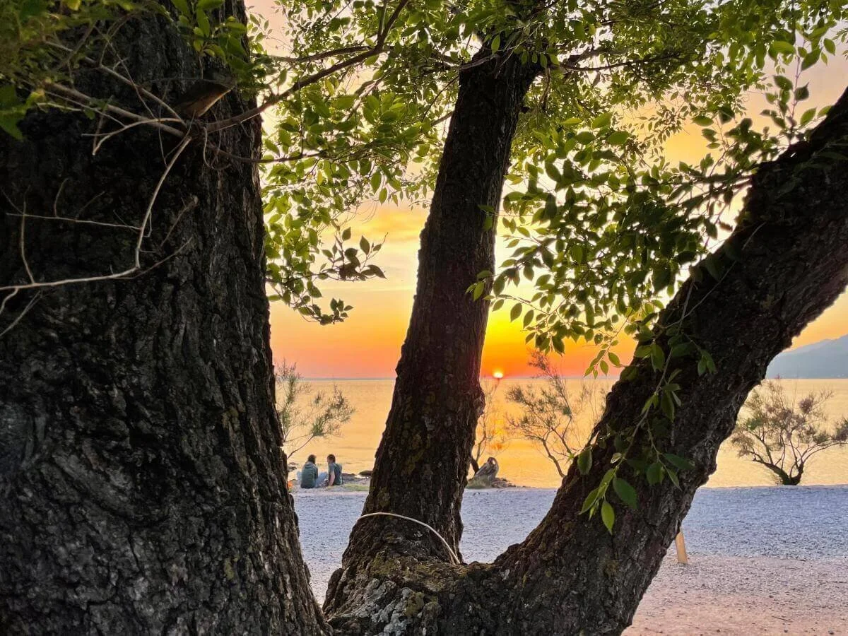 Drei Bäume rahmen den Blick auf den Sonnenuntergang über dem Wasser; Menschen sitzen am Ufer. | © DAV Markt Schwaben | Foto Sebastian Gründel