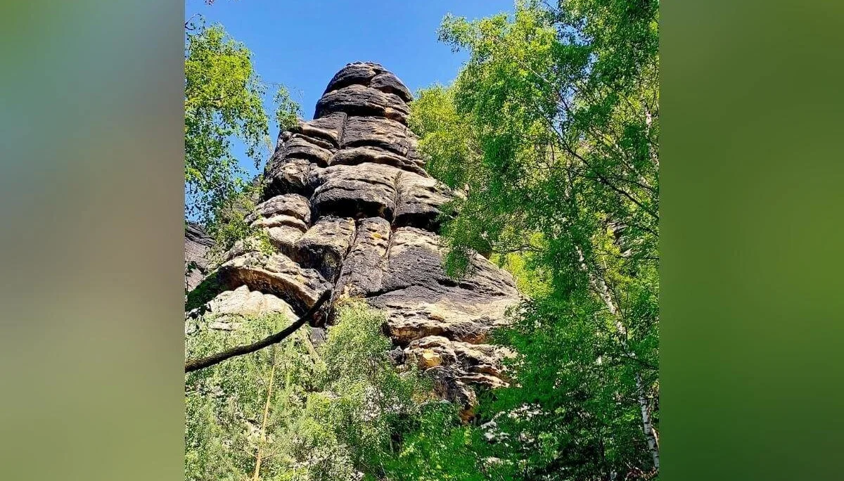 Drei Personen stehen auf Felsplateau mit Geländer, dahinter Tal mit Wald, Hügeln und blauem Himmel. | © DAV Markt Schwaben | Foto Angelika Göthe-Volkert