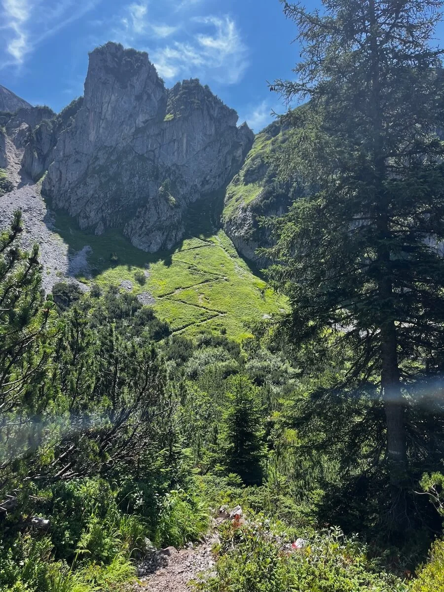 Ein Wanderweg schlängelt sich durch grüne Vegetation, im Hintergrund ragt die felsige Bischofsmütze unter klarem Himmel. | © DAV Markt Schwaben | Foto: Markus Sellmeier