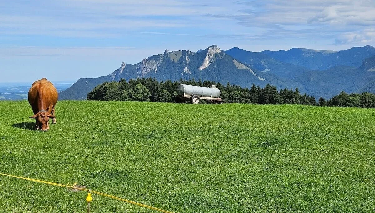 Kuh grast vor mobilem Wassertank auf grüner Weide, im Hintergrund Wald und felsige Berge unter blauem Himmel. | © DAV Markt Schwaben | Foto Hubert Inhofer