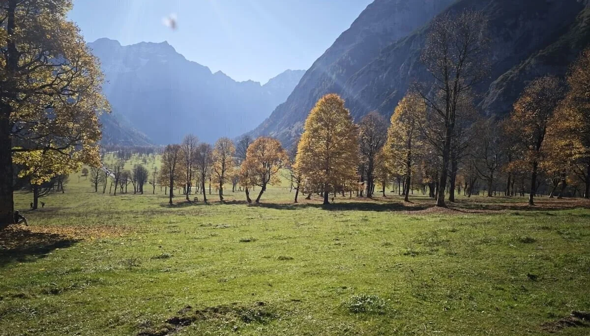 Grüne Wiese mit buntem Laubwald vor schroffen Berggipfeln; Sonnenlicht betont Farben und Schatten im Gelände. | © DAV Markt Schwaben · Foto: Matzinger