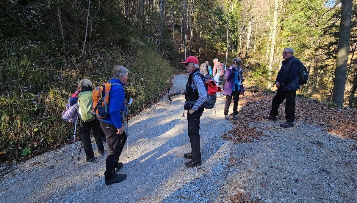 Mehrere Wandernde auf einem Waldweg im Herbstlicht, umgeben von buntem Laub und Schatten spielender Bäume. | © DAV Markt Schwaben · Foto: Hubert Inhofer