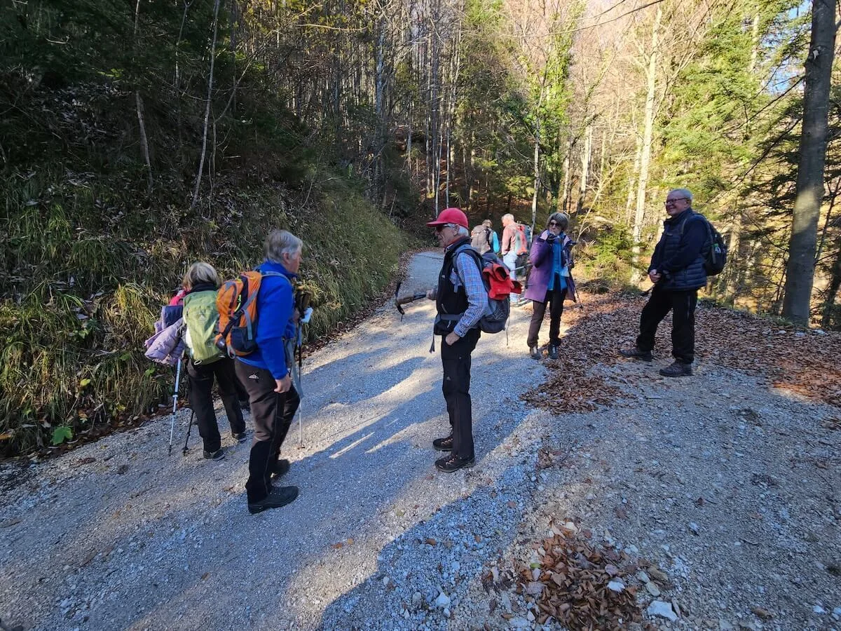 Mehrere Wandernde auf einem Waldweg im Herbstlicht, umgeben von buntem Laub und Schatten spielender Bäume. | © DAV Markt Schwaben · Foto: Hubert Inhofer