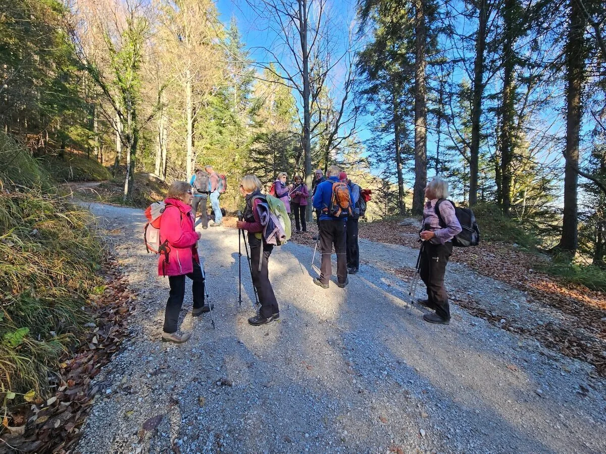 Gruppe Wandernder mit Rucksäcken und Stöcken auf herbstlichem Waldweg, Sonnenlicht fällt durch hohe Bäume. | © DAV Markt Schwaben · Foto: Hubert Inhofer