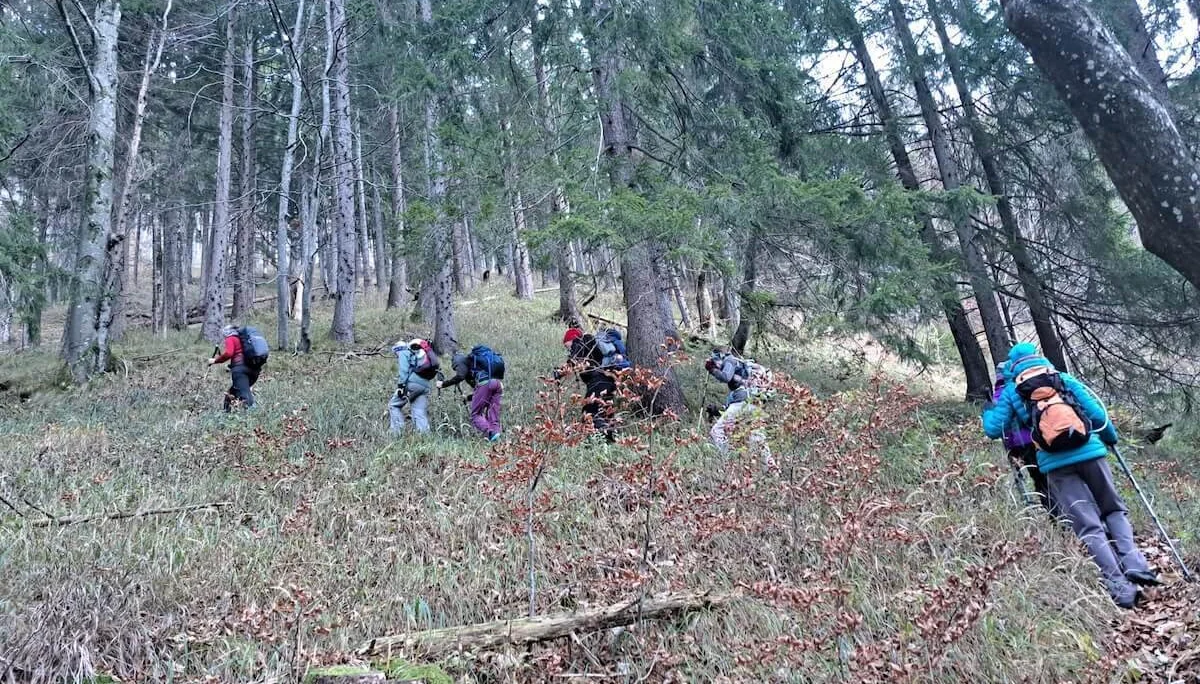 Mehrere Wandernde steigen einen bewaldeten Hang mit Laub, Ästen und Baumstämmen hinab. Die Gruppe trägt wetterfeste Kleidung und Rucksäcke, einige nutzen Wanderstöcke. Die Szene zeigt einen naturbelassenen Pfad abseits markierter Wege und vermittelt Abenteuerlust und Achtsamkeit im Gelände. | © DAV Markt Schwaben | Foto: Tanja Döhler