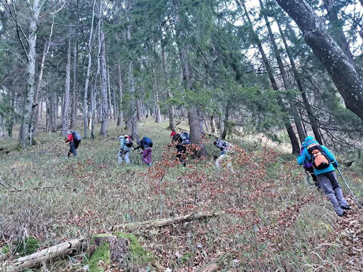 Mehrere Wandernde steigen einen bewaldeten Hang mit Laub, Ästen und Baumstämmen hinab. Die Gruppe trägt wetterfeste Kleidung und Rucksäcke, einige nutzen Wanderstöcke. Die Szene zeigt einen naturbelassenen Pfad abseits markierter Wege und vermittelt Abenteuerlust und Achtsamkeit im Gelände. | © DAV Markt Schwaben | Foto: Tanja Döhler