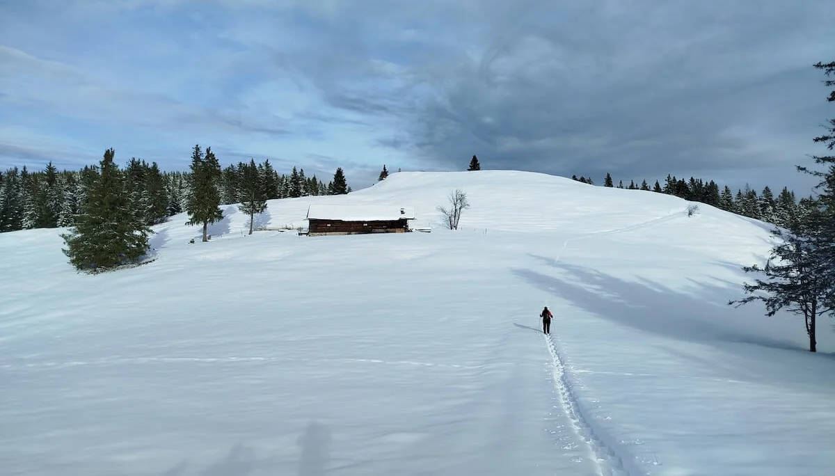 Eine Person wandert durch tiefen Schnee auf eine Holzhütte zu; umgeben von verschneiten Tannen und sanften Hügeln. | © DAV Markt Schwaben | Foto: Christine Strasser