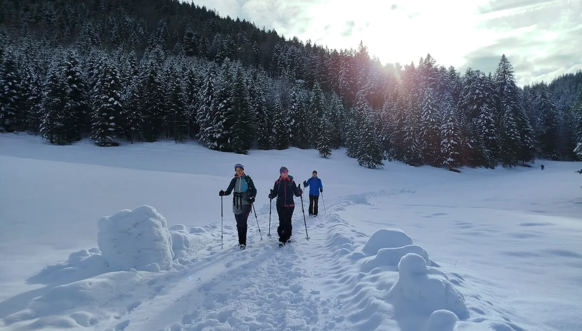 Drei Wandernde folgen einem verschneiten Waldweg; Sonnenlicht fällt durch Tannen und wirft Schatten auf den Schnee. | © DAV Markt Schwaben | Foto: Christine Strasser
