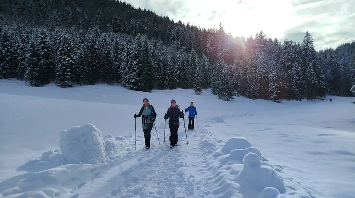 Drei Wandernde folgen einem verschneiten Waldweg; Sonnenlicht fällt durch Tannen und wirft Schatten auf den Schnee. | © DAV Markt Schwaben | Foto: Christine Strasser