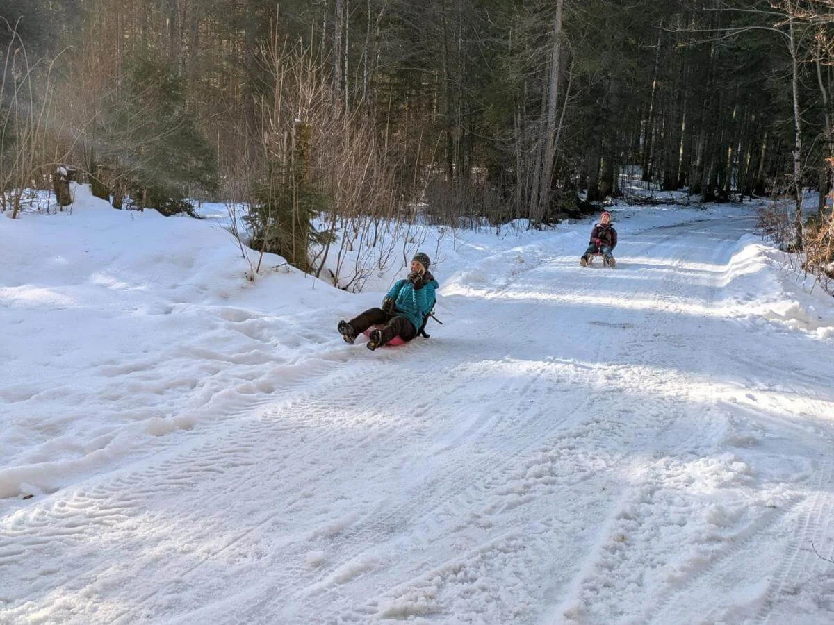 Zwei Erwachsene rodeln auf bunten Schlitten einen verschneiten Waldweg hinunter, Sonnenlicht fällt durch die Bäume. | © DAV Markt Schwaben | Foto: Silke Titze