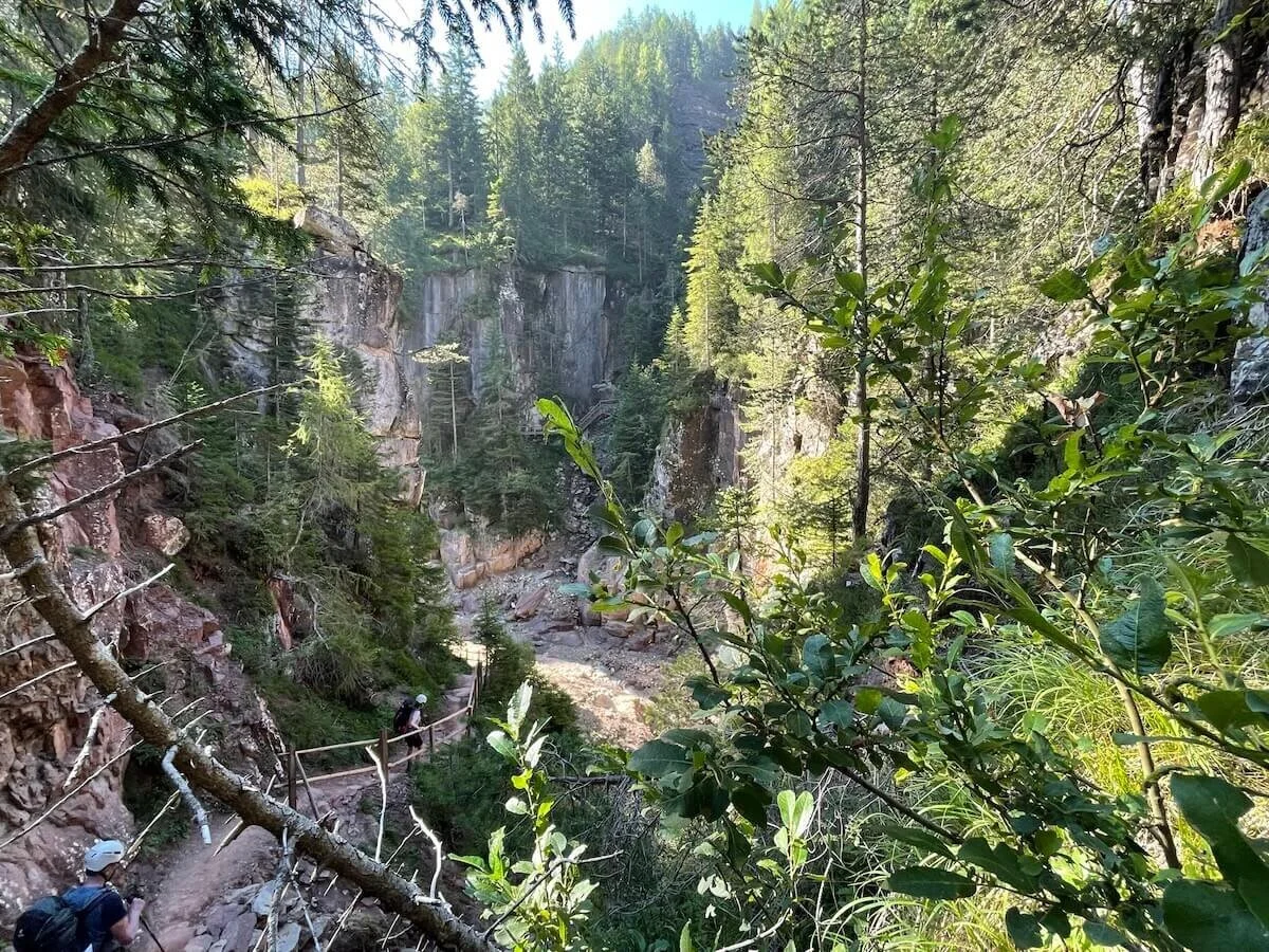 Blick auf die beeindruckenden Gesteinsschichten der Bletterbachschlucht in Südtirol, mit Wanderweg im Vordergrund | © DAV | Foto Markus Zimmermann