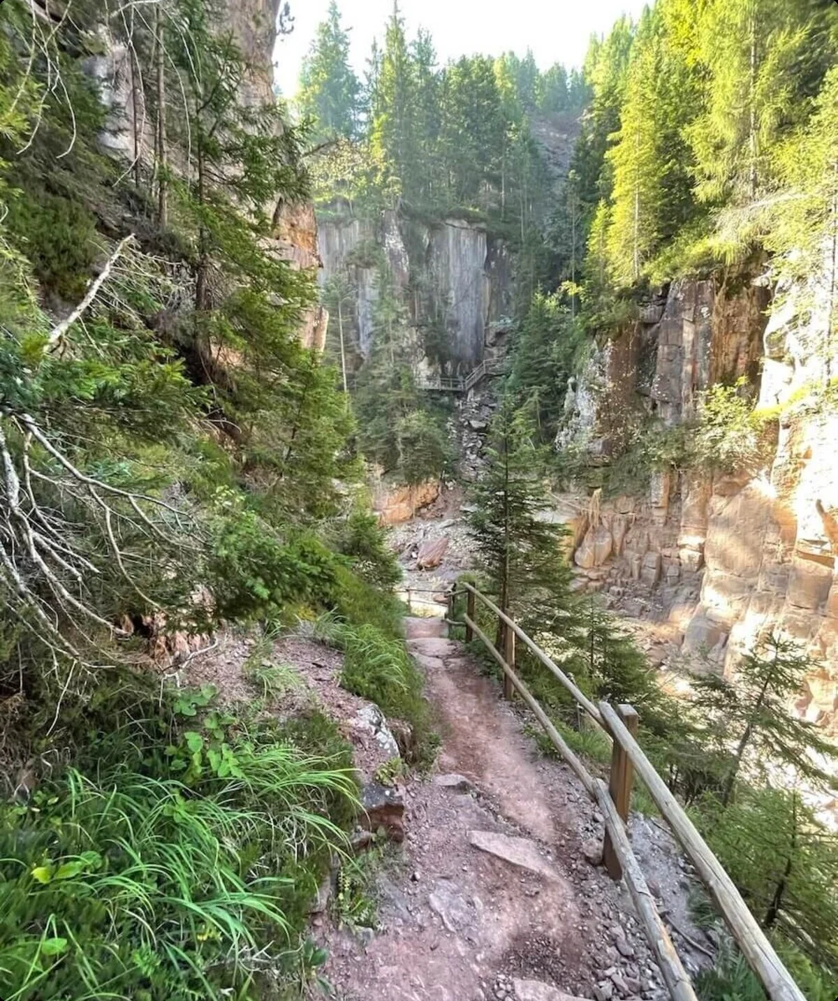 Panoramablick in die Bletterbachschlucht mit markanten Gesteinsschichten und Wanderpfad | © DAV | Foto Markus Zimmermann