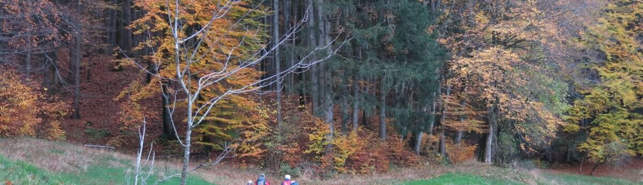 SPIRI Wanderungen November 2022 | © DAV Markt Schwaben | Foto Gerlinde Hübl