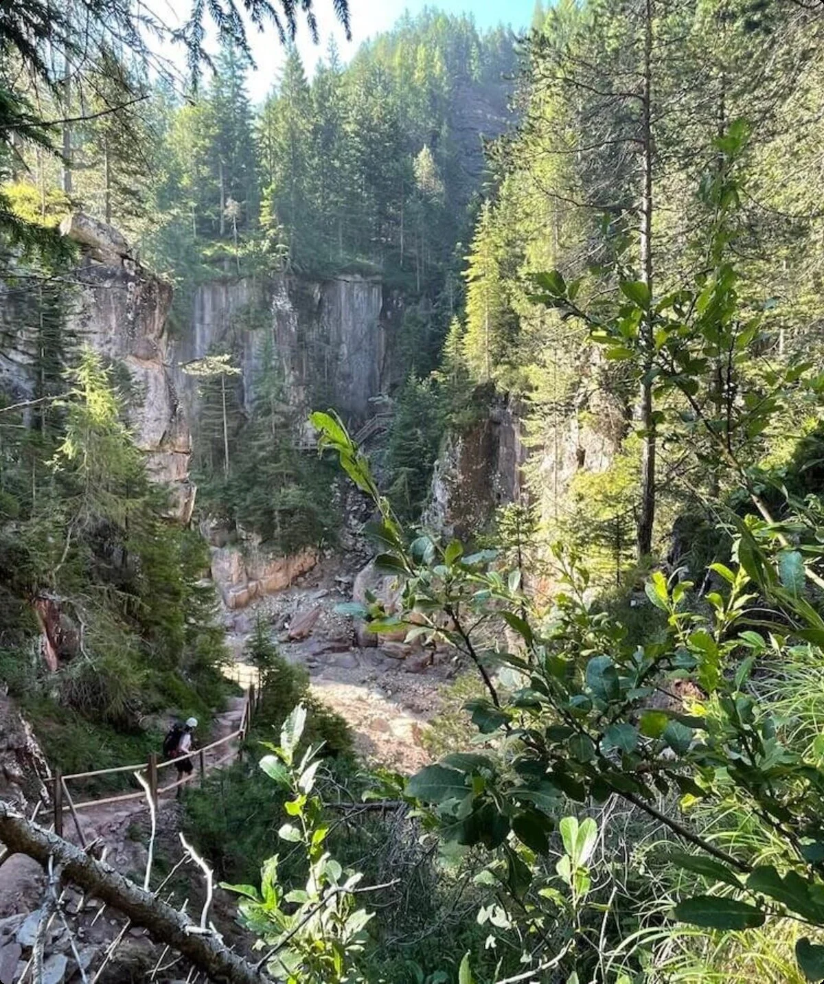 DAV-Tour zur Bletterbachschlucht in Südtirol | © DAV | Foto Markus Zimmermann Blick auf die beeindruckenden Gesteinsschichten der Bletterbachschlucht in Südtirol, mit Wanderweg im Vordergrund | © DAV | Foto Markus Zimmermann