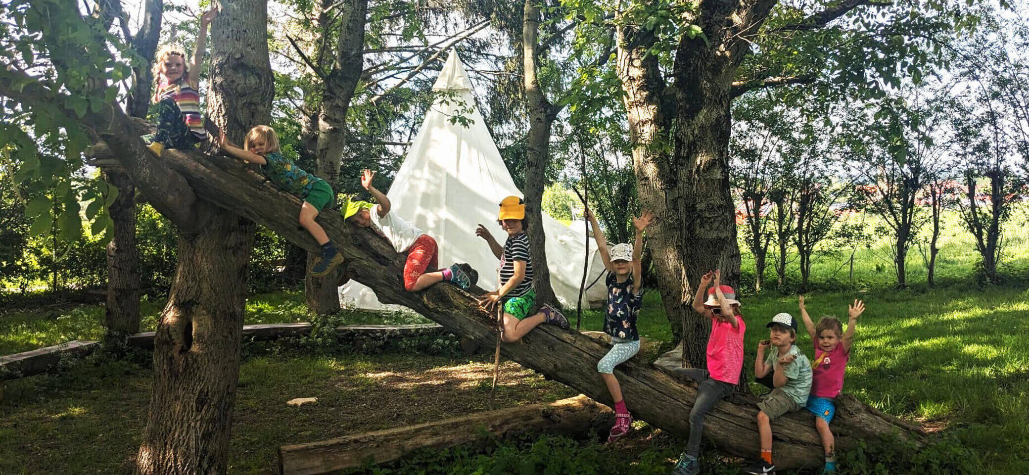 Eine Gruppe von Kindern erkundet spielerisch einen umgestürzten Baumstamm in einem Waldgebiet. Im Hintergrund steht ein weißes Zelt, umgeben von grüner Natur – gemeinsames Abenteuer und Naturerlebnis der Familiengruppe der DAV-Sektion Markt Schwaben. | © DAV Markt Schwaben