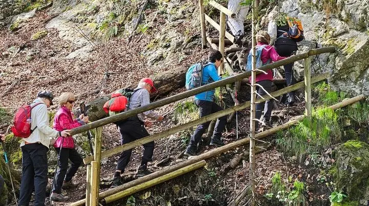 Gemeinsam draußen unterwegs – unser Seniorenprogramm bietet Naturerlebnisse, Bewegung und wertvolle Begegnungen für alle, die auch im Alter aktiv bleiben möchten. | © DAV Markt Schwaben