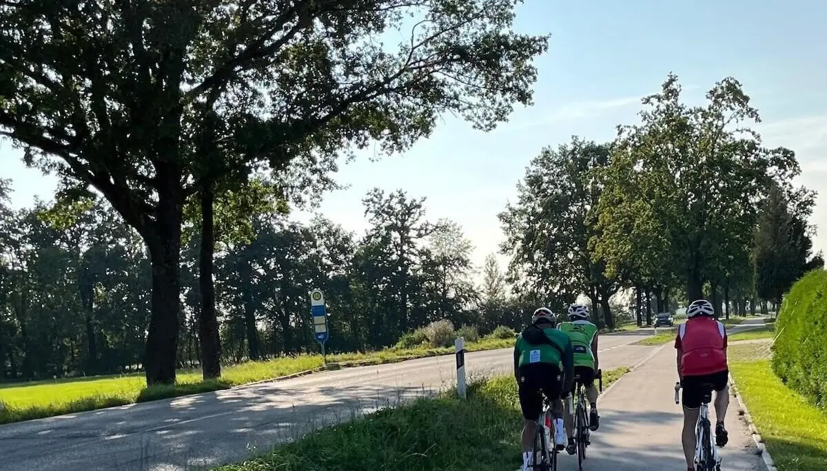 Drei Radfahrer fahren auf einem baumbestandenen Radweg; sonnige Szene mit Straße, Wiese und blauem Himmel. | © DAV Markt Schwaben