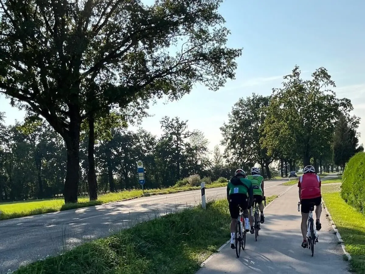 Drei Radfahrer fahren auf einem baumbestandenen Radweg; sonnige Szene mit Straße, Wiese und blauem Himmel. | © DAV Markt Schwaben