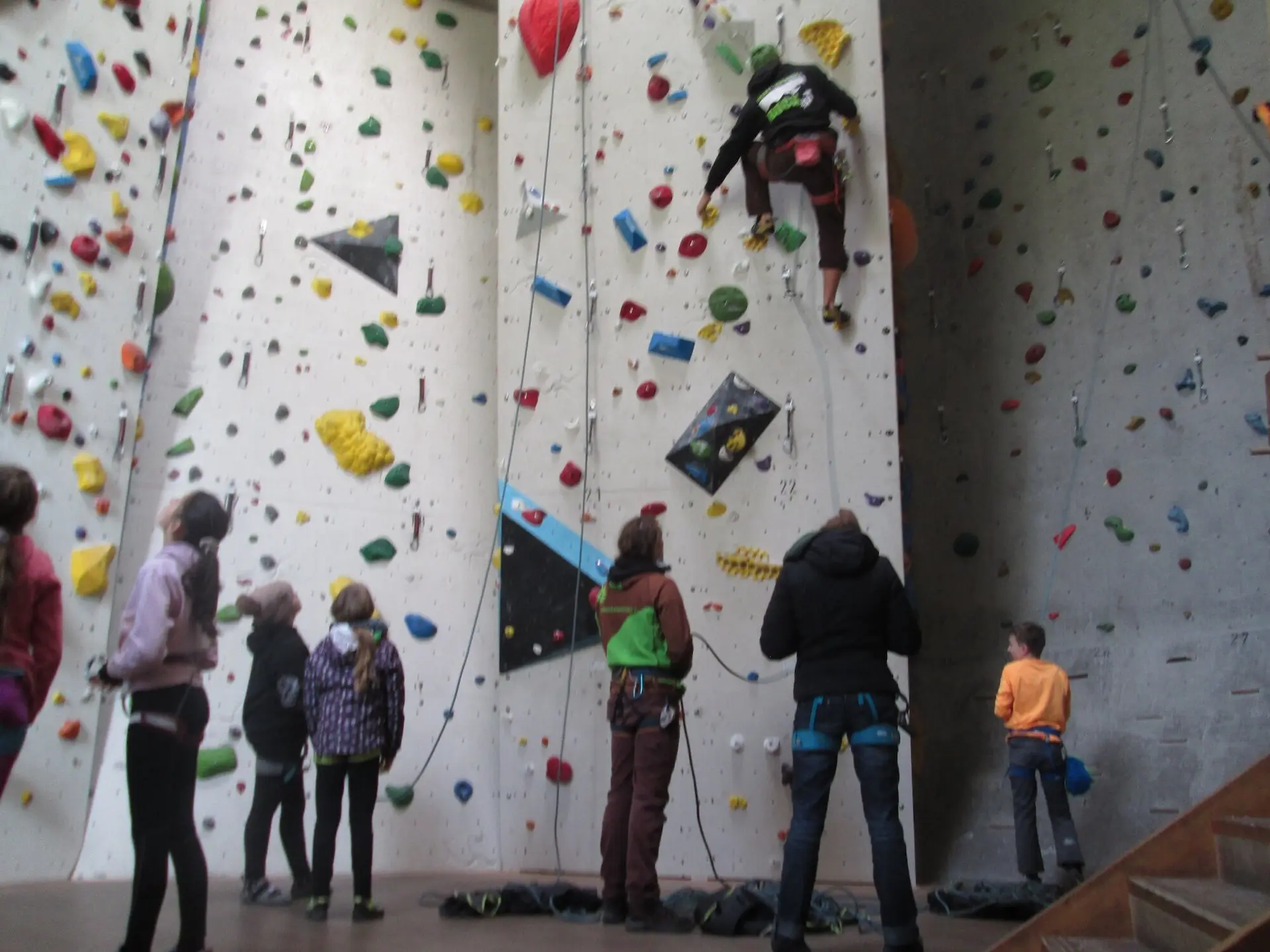 Die Steinböcke | © DAV Markt Schwaben