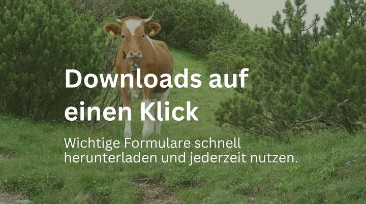 Der Text „Downloads auf einen Klick – Wichtige Formulare schnell herunterladen und jederzeit nutzen“ ist über ein Bild einer braunen Kuh mit weißen Gesichtsmustern und Hörnern gelegt, die auf einer grünen Wiese vor Büschen und Bäumen steht. | © DAV Markt Schwaben | Foto Susanne Mayerl