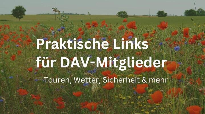 Der Text „Nützliche Links für deine Tourenplanung“ und „Direkt zugreifen.“ ist über ein Bild mit Bäumen und klarem Himmel im Hintergrund gelegt. | © DAV Markt Schwaben | Foto Susanne Mayerl