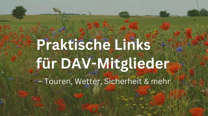 Der Text „Nützliche Links für deine Tourenplanung“ und „Direkt zugreifen.“ ist über ein Bild mit Bäumen und klarem Himmel im Hintergrund gelegt. | © DAV Markt Schwaben | Foto Susanne Mayerl