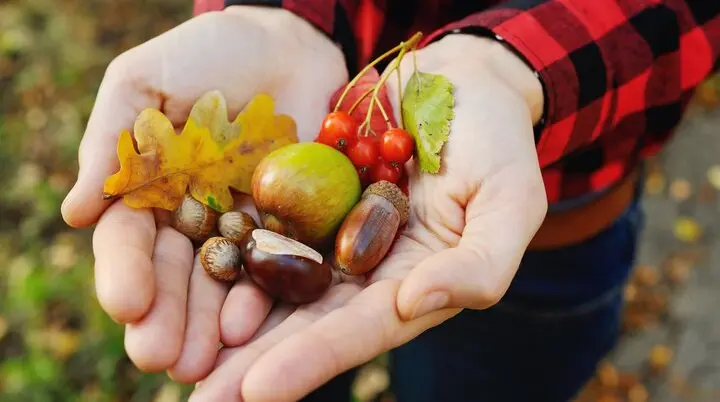 Schatzsuche | © Evgeniy Kalinovskiy / Adobe Stock