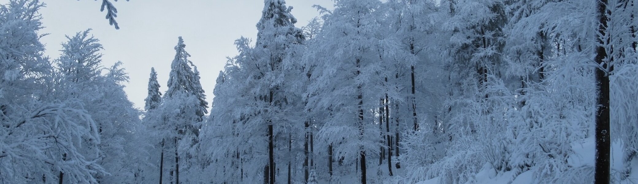 Verschneite Winterlandschaft | © Susanne Mayerl 2022