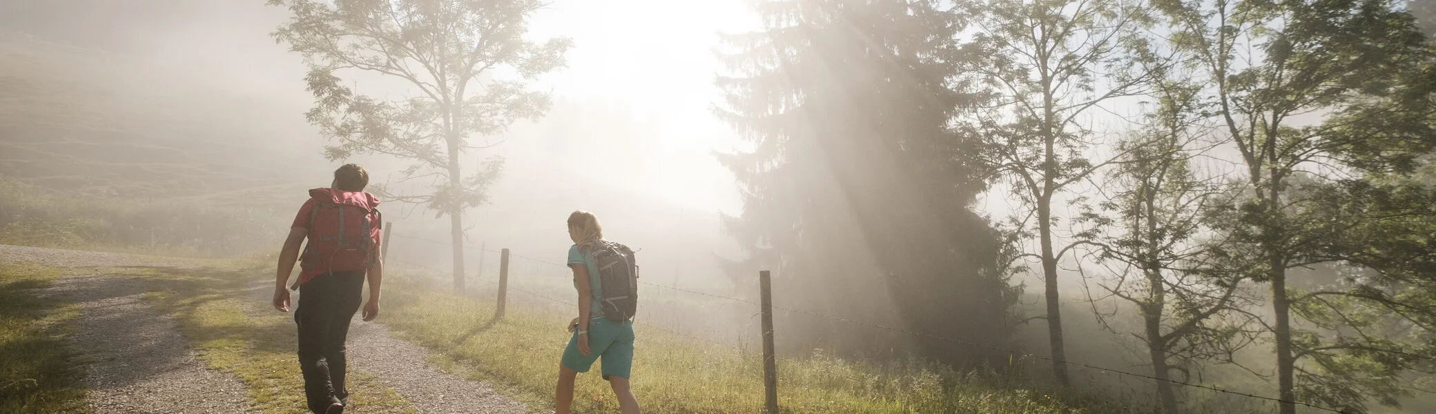 Gemeinsamer Aufstieg bei Sonnenaufgang - die Sonne scheint durch den Nebel | © DAV/Hans Herbig
